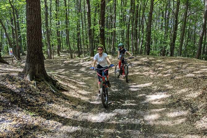 Mount Etna E-bike half-day tour - The Trail through Oak Forests and Lava Flows