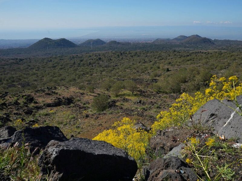 Mount Etna: Etna 4x4 Jeep Tour Half-Day Morning - Visiting the Valle del Bove: The Volcano’s Grand Caldera