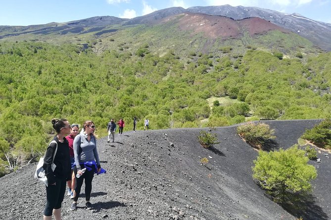 Mount Etna Half-Day Small Group Tour from Taormina - Key Points