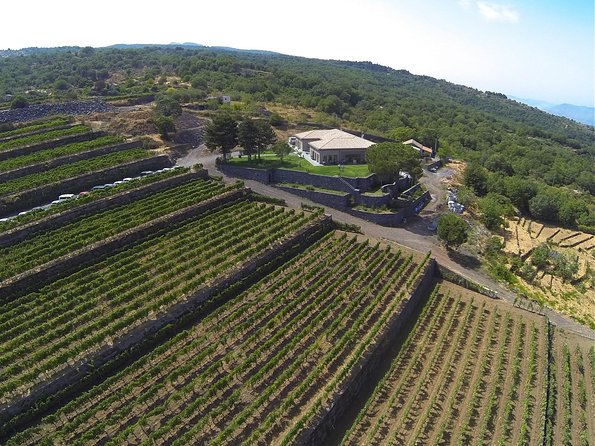 Mount Etna, Lunch in a Winery and Taormina Private Day-Trip from Messina - Exploring Mount Etna’s Lava Fields