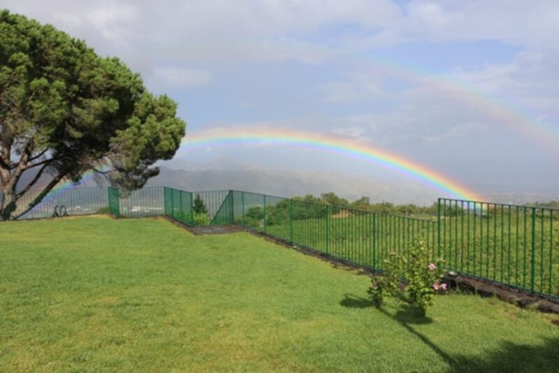 Mount Etna: Winery Tour and Tasting - Guide Expertise and Hospitality