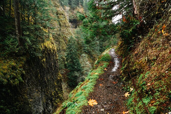 Mount Hood Loop Scenic Drive Self Guided Audio Tour - Exploring Historic Sites and Scenic Overlooks