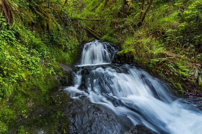 Mount Hood Loop Scenic Drive Self Guided Audio Tour - Practicalities and How to Use the Tour App