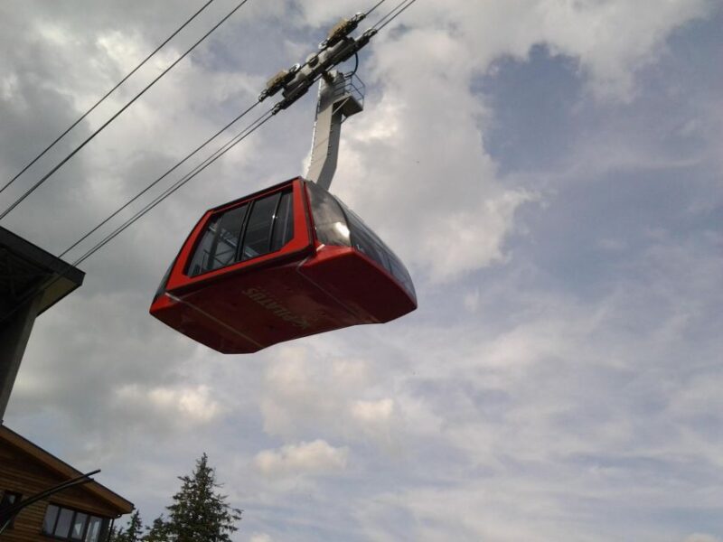 Mount Pilatus Small Group off-season Day Trip from Luzern - The Practicalities: What’s Included, What to Bring