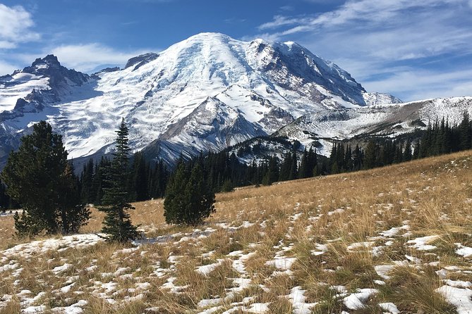 Mount Rainier Day Hike - Exploring the Three Burroughs Trail with a Local Guide