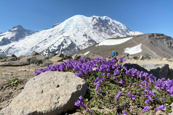 Mount Rainier Day Hike - Weather and Cancellation Policies