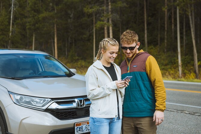 Mount Rainier National Park Self-Guided Audio Tour - Unique Viewpoints at Box Canyon and Grove of the Patriarchs