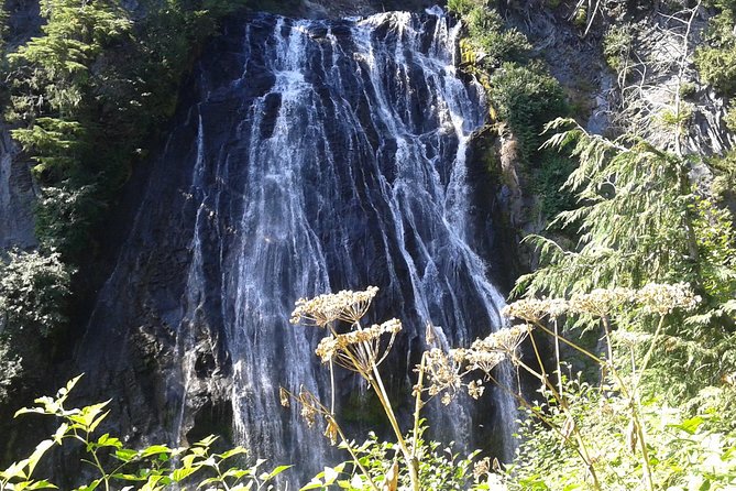 Mount Rainier Tour from Seattle - All-Inclusive Park Entry and Snacks