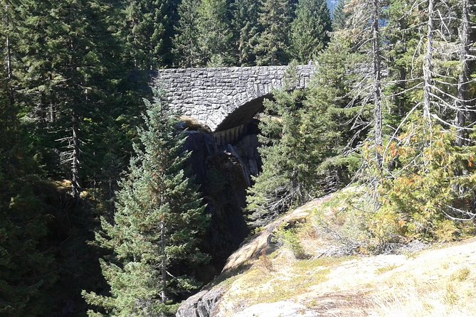 Mount Rainier Tour from Seattle - The Guide’s Knowledge and Friendly Approach