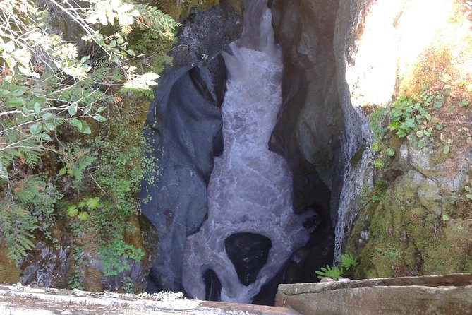 Mount Rainier Tour from Seattle - Tour Flexibility and Customization