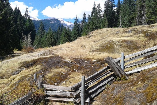 Mount Rainier Tour from Seattle - Weather Considerations and Scenic Variability