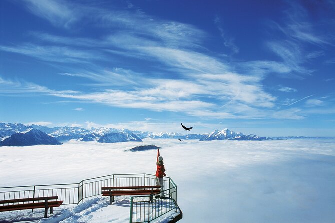 Mount Rigi Day Ticket - Summer Hiking and Winter Sports on Mount Rigi