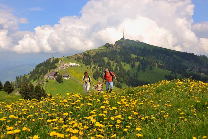 Mount Rigi Day Trip from Lucerne - Insights from Reviews on Guides and Scenery