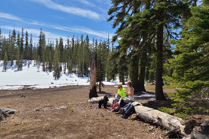 Mount Shasta Sacred Tour - Hiking Mount Shasta and Surrounding Areas