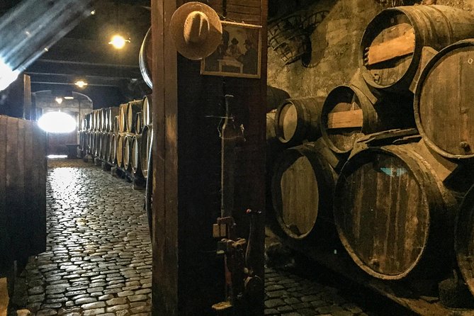 Mount Teide and Tenerife North with Food & Wine Tasting Private Tour - Luxurious, Eco-Friendly Transportation