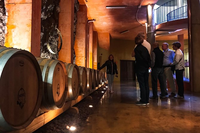 Mount Teide and Tenerife North with Food & Wine Tasting Private Tour - Flexible, Multilingual Guided Experience