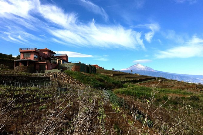 Mount Teide and Tenerife North with Food & Wine Tasting Private Tour - Limitations and Practical Considerations
