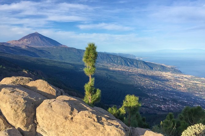 Mount Teide and Tenerife North with Food & Wine Tasting Private Tour - Meeting Point and Booking Details