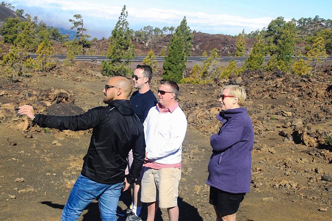 Mount Teide and Teno Country Park Private Tour - Personalized Experience Led by a Knowledgeable Guide