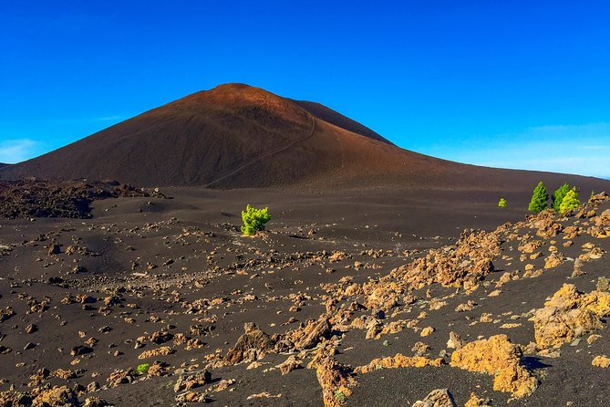 Mount Teide and Teno Country Park Private Tour - Ideal For Enthusiasts of Nature and Geology