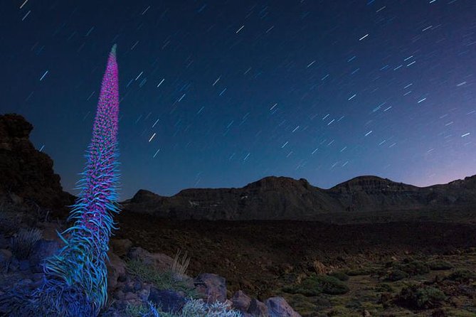 Mount Teide Night Tour: Stargazing, Dinner and Hotel Pick up - Key Points