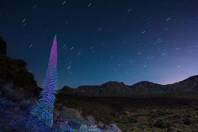 Mount Teide Night Tour: Stargazing, Dinner and Hotel Pick up - Best Conditions for Stargazing and Constellation Spotting