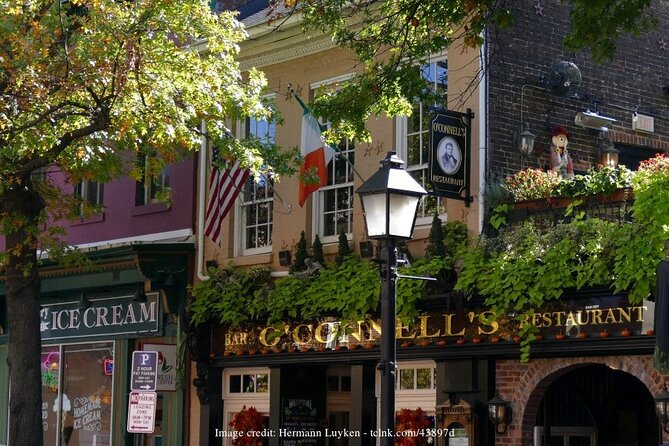 Mount Vernon & Alexandria: Private Day Trip from Washington DC - The Guide’s Role and Guest Experience