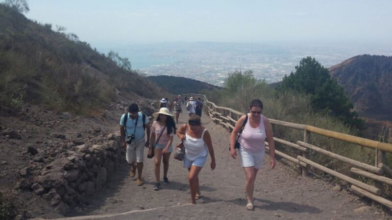 Mount Vesuvius 4-Hour Volcano Tour with Wine Tasting - Visiting the Summit or Crossing the Lava Cave