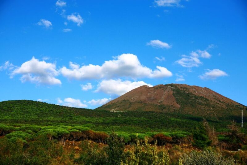 Mount Vesuvius 4-Hour Volcano Tour with Wine Tasting - Wine Tasting in a Local Campanian Vineyard