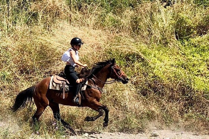 Mount Vesuvius Guided Horse Riding Tour with Sample Wine - From Naples to Mount Vesuvius: Convenient Pickup and Return