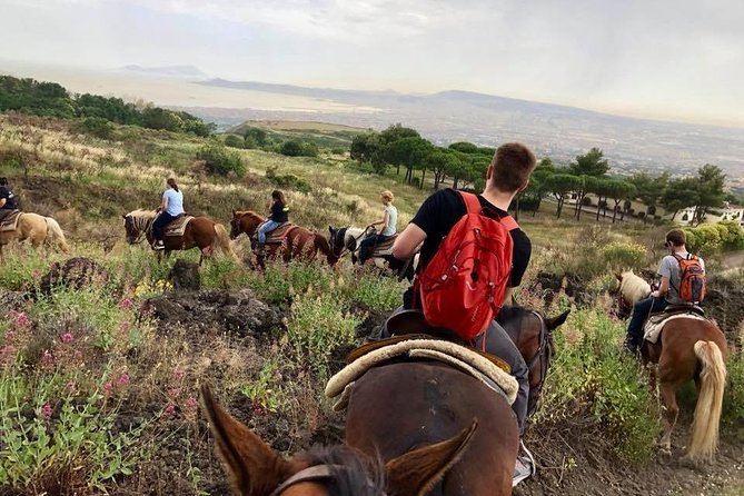 Mount Vesuvius Guided Horse Riding Tour with Sample Wine - Wine Tasting and Snacks at the Ranch