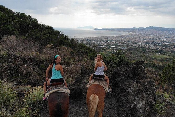 Mount Vesuvius Guided Horse Riding Tour with Sample Wine - Practical Details and Group Size Limitations