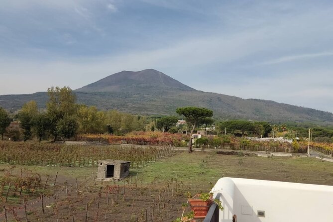 Mount Vesuvius Half Day Private Tour - The Tours Starting Point and Pickup Convenience