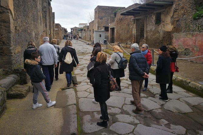 Mount Vesuvius Shore Tour, Pompeii & Winery Vesuvius Winery - Visiting Pompeii: A Roman City Frozen in Time