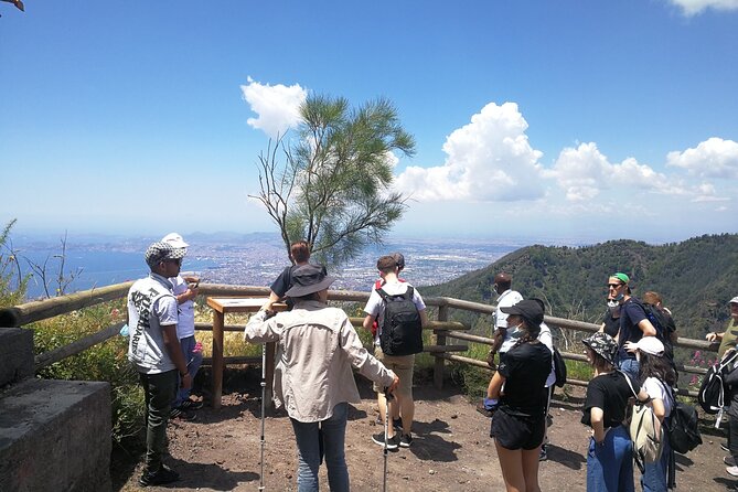Mount Vesuvius Shore Tour, Pompeii & Winery Vesuvius Winery - Pacing and Duration: Balancing Sightseeing and Free Time
