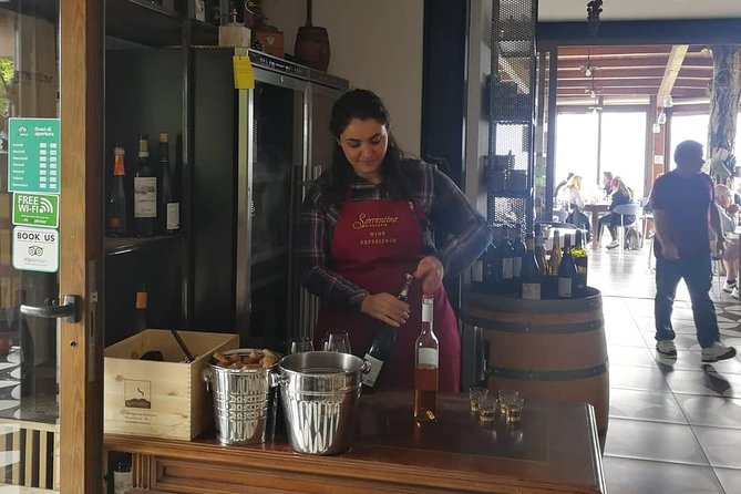 Mount Vesuvius Shore Tour, Pompeii & Winery Vesuvius Winery - Final Thoughts on the Mount Vesuvius Shore Tour