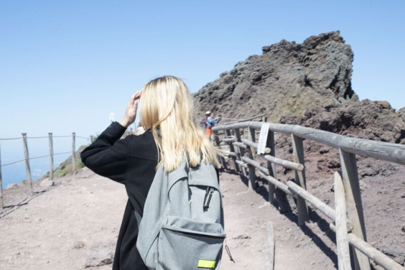 Mount Vesuvius: Skip-the-Line Ticket and Audio Guide - Discover Mount Vesuvius with Skip-the-Line Access and an Audio Guide