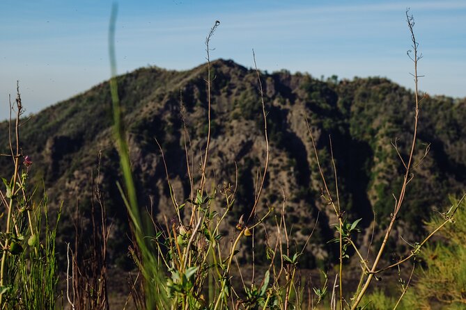 Mount Vesuvius Skip the Line Ticket + Multilingual Audio Guide - Viewing the Landscape and Panoramic Vistas