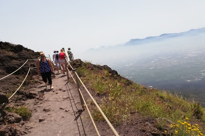 Mount Vesuvius tour by bus and ticket included from Ercolano - From the Base to the Crater: The Bus Ride and Walking Path