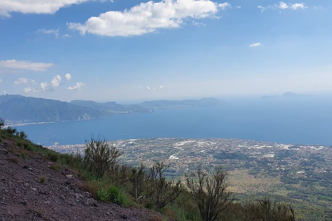 Mount Vesuvius Tour with Entry Ticket & Lunch from Sorrento - Practical Details: Meeting Points, Timing, and Group Size