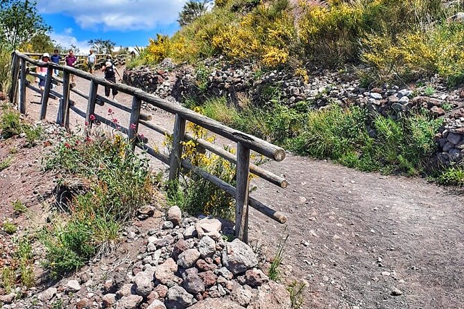 Mount Vesuvius Tour with Entry Ticket & Lunch from Sorrento - Mount Vesuvius Tour with Entry Ticket & Lunch from Sorrento: Final Thoughts