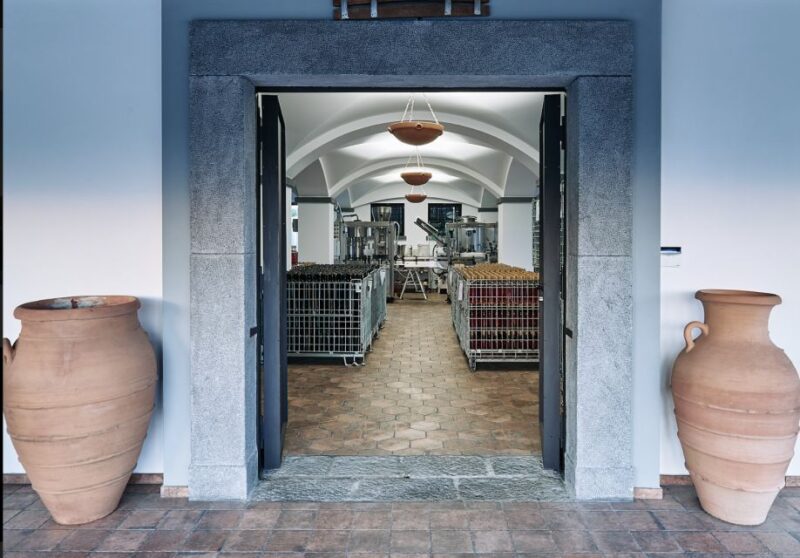 Mount Vesuvius: Vineyard Tour with Wine Tasting and Lunch - The Guide and Service: Knowledgeable and Friendly