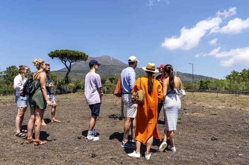 Mount Vesuvius: Vineyards Tour with Wine Tasting and Lunch - Discovering Vesuvius Cellar Secrets