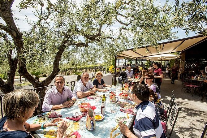 Mount Vesuvius & Wine Tasting with Lunch Private Tour - Logistics and Group Size