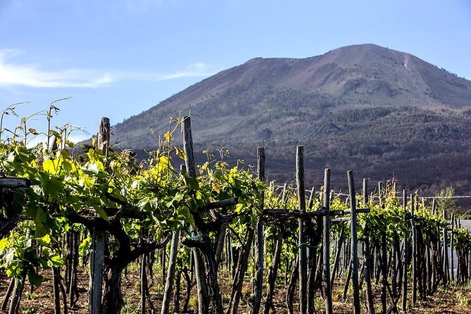 Mount Vesuvius & Wine Tasting with Lunch Private Tour - Pacing and Physical Considerations