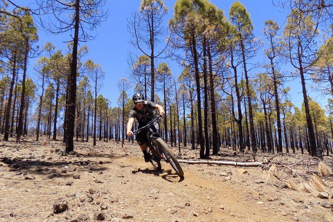 Mountain bike excursions - Key Points