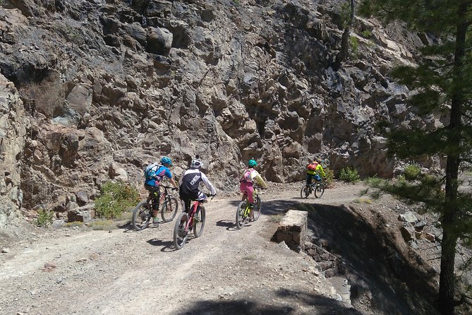 Mountain bike excursions - Experiencing the Barranco de Guayadeque Ravine