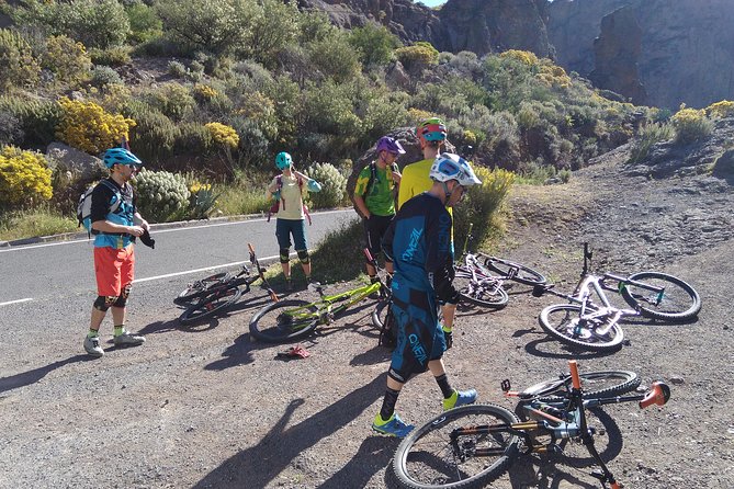 Mountain bike excursions - Physical Requirements and Suitability