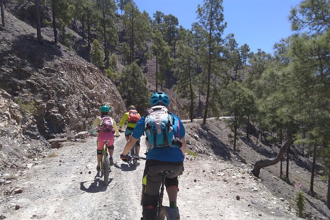 Mountain bike excursions - What Sets This Tour Apart: Guides and Scenic Stops