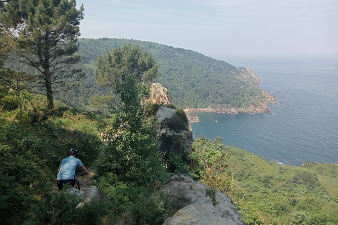 Mountain Bike Small Group Tour in San Sebastian - Key Points